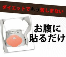 アメリカ 韓国で話題沸騰 5枚入脂肪貼るだけダイエット_画像9