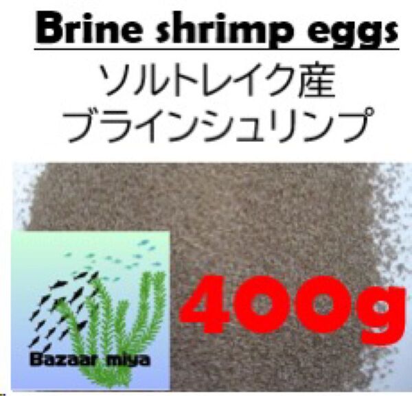 ソルトレイク産ブラインシュリンプ 400g