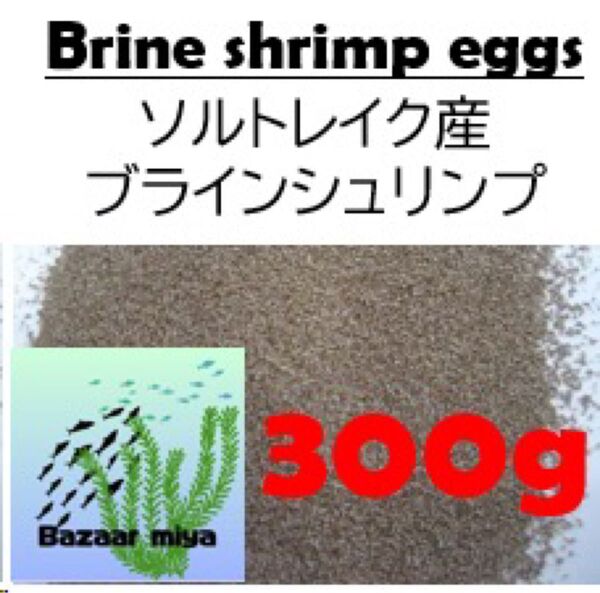 ソルトレイク産ブラインシュリンプ 300g