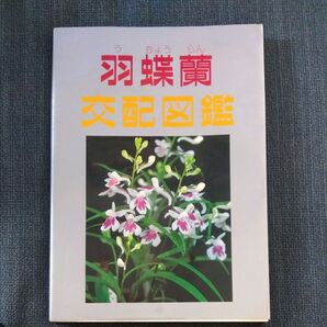 羽蝶蘭 交配図鑑 1994年5月30日 初版発行 定価3000円 当時物 比較的美品 資料価値