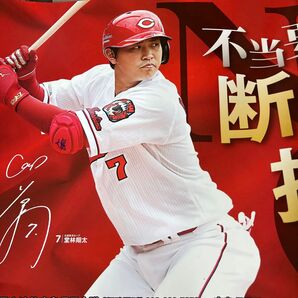 広島カープ堂林 広島東洋カープ