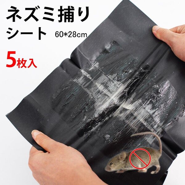 ネズミ捕りシート 5枚セット 60×28cm 強力粘着 ネズミ駆除 フィルム 黒色 シート 折りたたみ 収納可 簡単 設置 回収