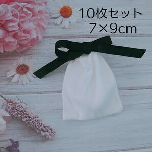 セール☆アクセサリー巾着袋 10枚セット 新品未使用 ラッピング袋 ギフト袋 ins 韓国 収納袋 小物入れ 出張 ハンドメイド