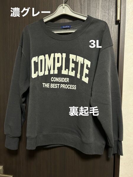 裏起毛プリントトレーナー 3L 大きいサイズ