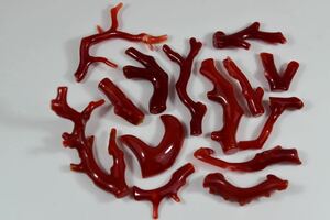 Ｓ266　赤珊瑚　血枝 纏めて１４本　ルース ペンダントトップ ブローチ等パーツ　２１．４ｇ
