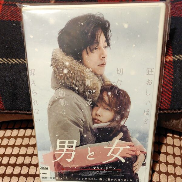 レンタル落ちDVD★男と女★韓国映画★コン・ユ★チョン・ドヨン★禁断のラブストーリー