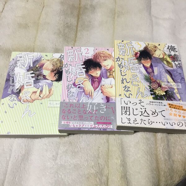 新婚かもしれない 1〜3巻セット ちしゃの実