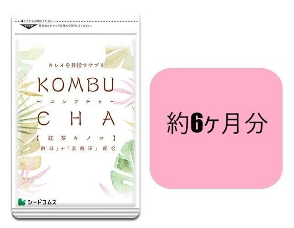 約6ヶ月分 コンブチャ シードコムス 紅茶キノコ KOMBUCHA