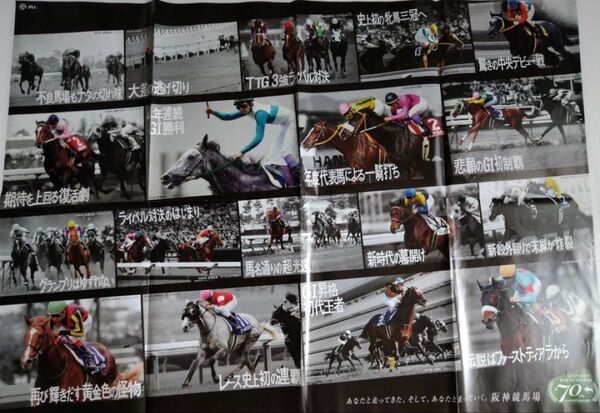 JRA 阪神競馬場 70周年 記念ポスター サイズ73cm×103cm