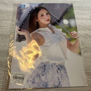 【新品未開封】友田彩也香 写真 A4サイズブロマイド