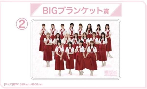 櫻坂46くじ ブランケット