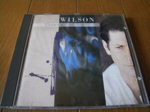 【送料無料】★BRIAN WILSON ブライアン・ウィルソン★ビーチ・ボーイズ（国内盤）