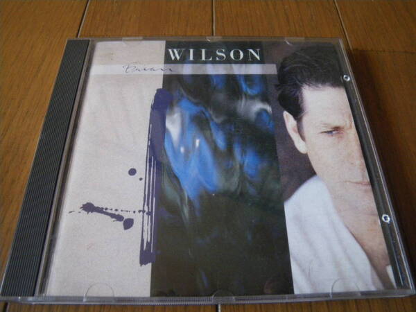 【送料無料】★BRIAN WILSON ブライアン・ウィルソン★ビーチ・ボーイズ(国内盤)