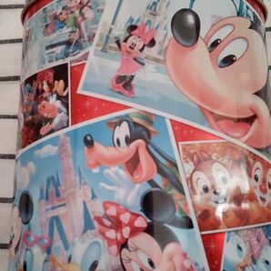 ディズニー☆空き缶☆キーホルダー☆ミッキー☆ミニー