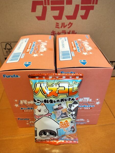 バズコレ猫に転生したおじさんネコオジ