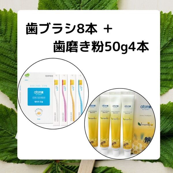 アトミ 歯ブラシ8本+歯磨き粉50g4本