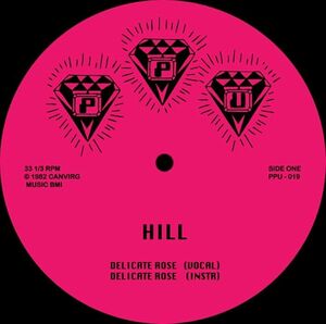 新品未使用 Hill / Roshell Anderson - Delicate Rose/Wild Dreams 12inchレコード　送料無料 (0395)