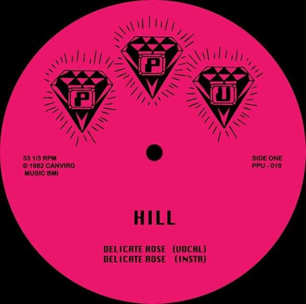 新品未使用 Hill / Roshell Anderson - Delicate Rose/Wild Dreams 12inchレコード　送料無料 (0395)