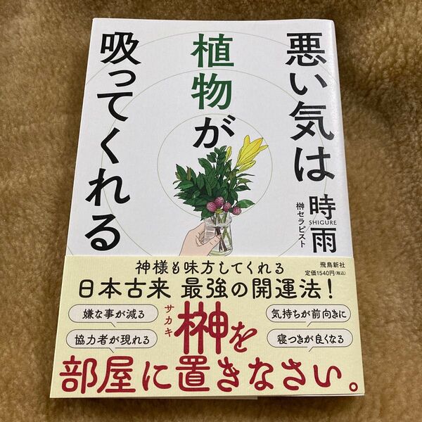 悪い気は植物が吸ってくれる 時雨 榊 浄化