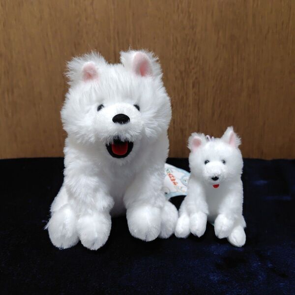 【くったりサモエドくん】ST&VMC ホワイト口開け・舌出し
