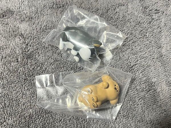 怒ったわんちゃあぁぁん 2種セット フィギュア カプセルトイ ガシャポン 犬