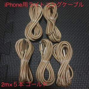 iPhone 充電ケーブル ゴールド 2m 5本