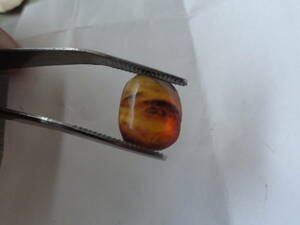 3.2ct Bloom amber amber insect entering Myanma honey yellow 