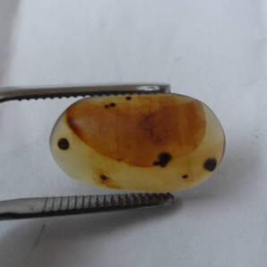 2.3ct ブルーム アンバー 琥珀 昆虫入り ミャンマー