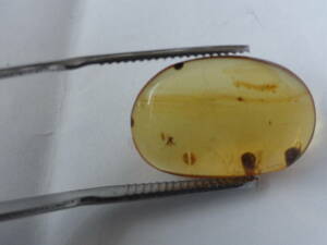 3.8ct Bloom amber amber insect entering Myanma honey yellow 