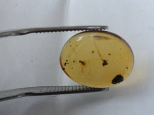 2.7ct Bloom amber amber insect entering Myanma honey yellow profit 