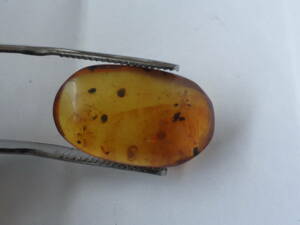 6.2ct Bloom amber amber insect entering Myanma honey yellow 