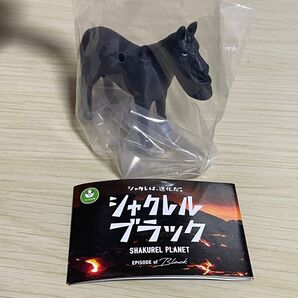 シャクレルプラネット ブラック ウマ