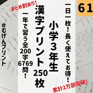 【プリント1枚あたりが最安値!大量250枚で徹底反復!】61.小学3年、国語漢字、むげんプリント、漢検、過去問、勉強