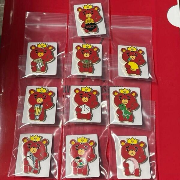 東方神起 LIVE TOUR ZONE 招きTB ご当地ピンバッジコンプリート