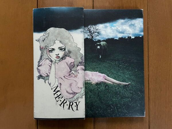 メリー「M.E.R.R.Y.」初回限定盤 DVD付 MERRY