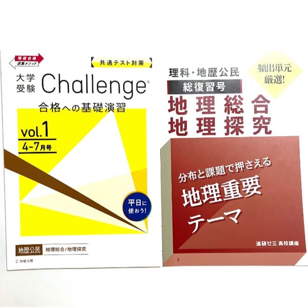 進研ゼミ高校講座 地理総合 地理探求 参考書 ワーク 大学受験対策 未使用 高校生 共通テスト対策 書き込みなし 2025年度版