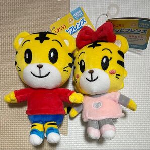 はなちゃん しまじろう 兄妹セット