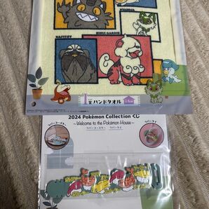 2024ポケモンコレクションくじ ハンドタオル&ラバータイのセット