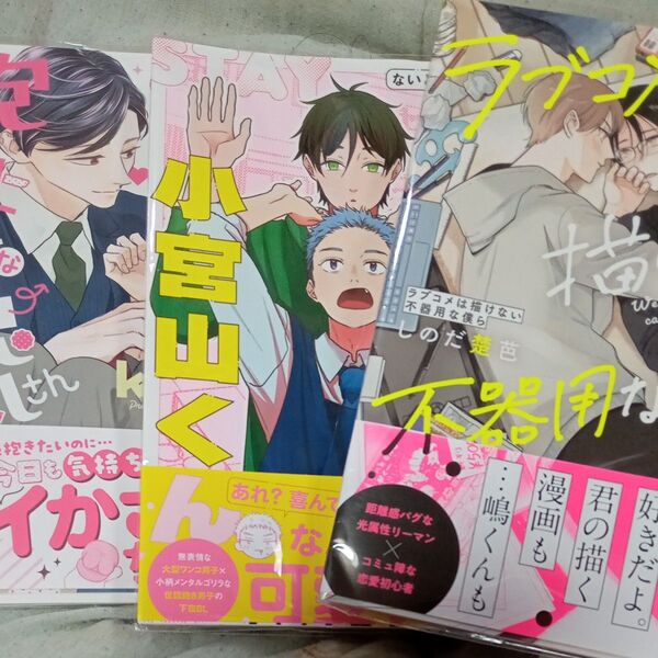 クーポン◎ 商業BL 新刊 24年後半〜25年 バラ売り2冊で1000円 (+−有り)