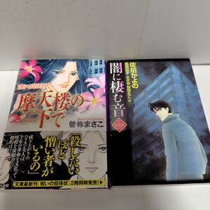 文庫コミック2冊 闇に棲む音 摩天楼の下で