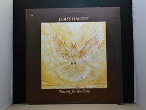 James Vincent - Waiting For The Rain 白ラベルプロモ WLP AOR