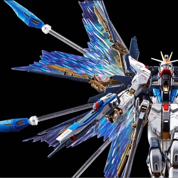 【未組立新品】RG ストライクフリーダムガンダム チタニウムフィニッシュ・ 天空の翼 拡張エフェクトユニット セット