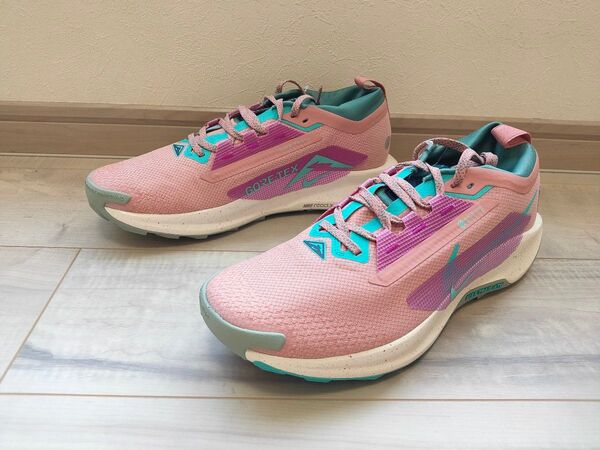 28cm 新品 NIKE PEGASUS TRAIL 5 GTX ナイキ ペガサストレイル ゴアテックス FQ0908-600