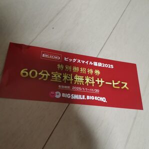 ビッグエコー 60分室料無料サービス 特別御招待券