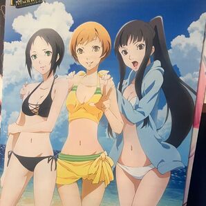 【説明必読】ペルソナ4 ザ・ゴールデン B2 タペストリー ソフマップ 全巻購入特典