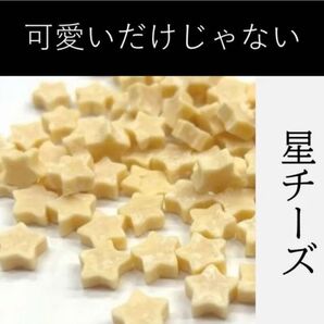 〈無添加おやつ〉星チーズ(50g)【犬・猫用】ペット おやつ 無添加 自然 チーズ 飾りつけ カリカリ お祝い クリスマス