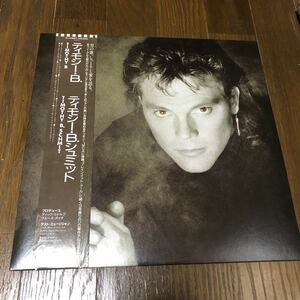 ティモシー・B・シュミット ティモシー・B. 国内盤帯付きレコード