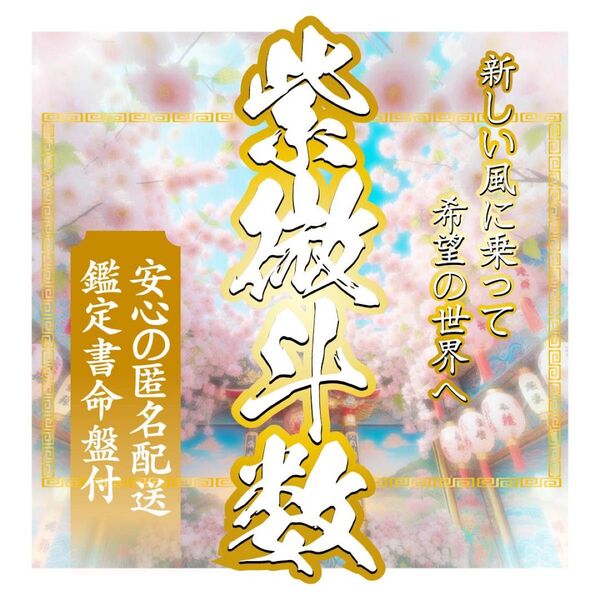 【総合鑑定書付き★即購入可】星が導くあなたの人生設計ー紫微斗数で運命を読み解こう