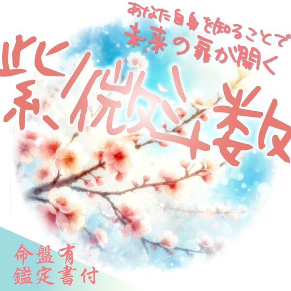 【鑑定書付き総合占い】星が映し出す、あなたの本当の姿を紫微斗数で見つける