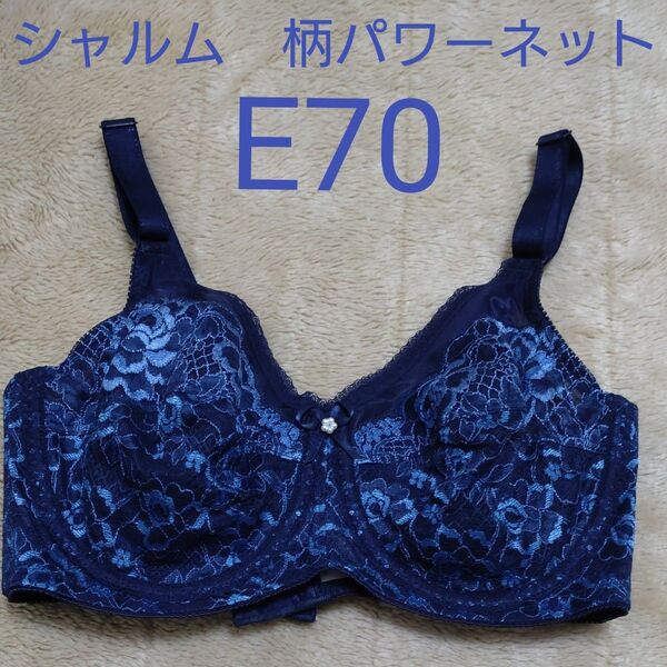 【未使用】シャンデール シャルム パワーネットブラジャー サファイアブルー E70